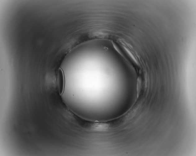 X0000099970617200805231406