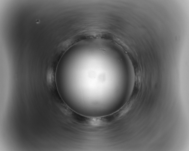 X0000099970623200805231406