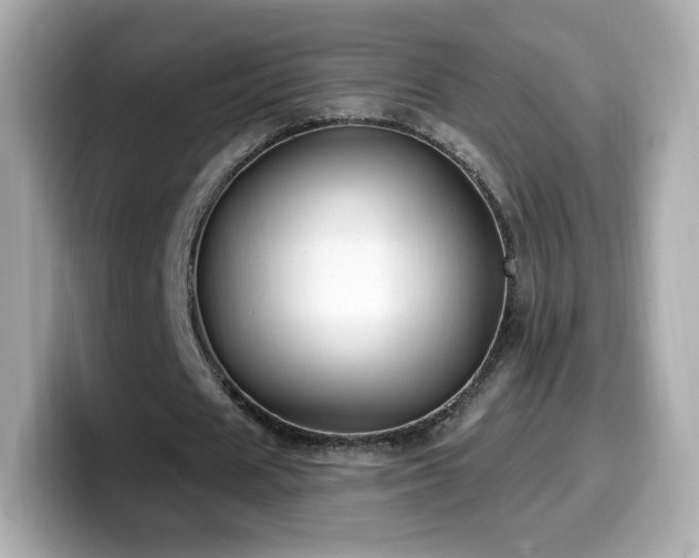 X0000099970625200805231405