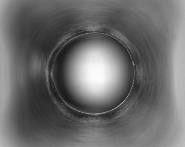 X0000099970626200805231405