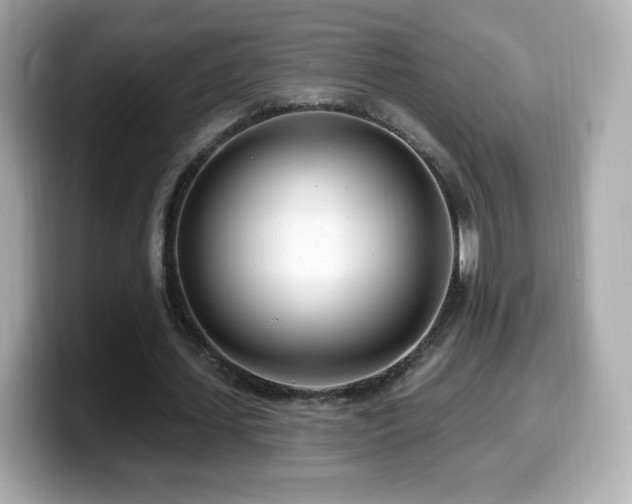 X0000099970627200805231405