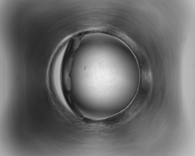 X0000099970628200805231405