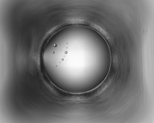 X0000099970629200805231405