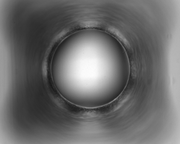 X0000099970631200805231405