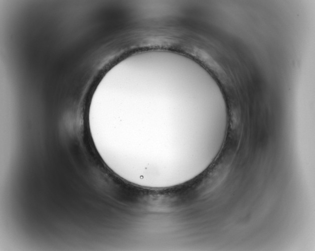 X0000099970632200805231405