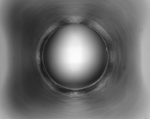 X0000099970634200805231405