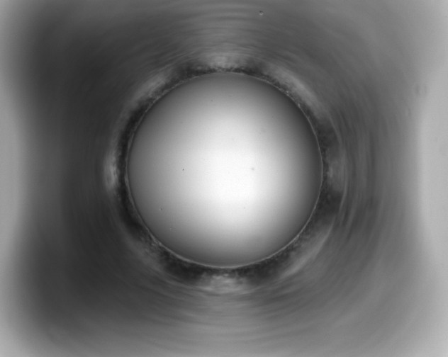 X0000099970635200805231405
