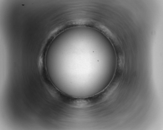 X0000099970636200805231405