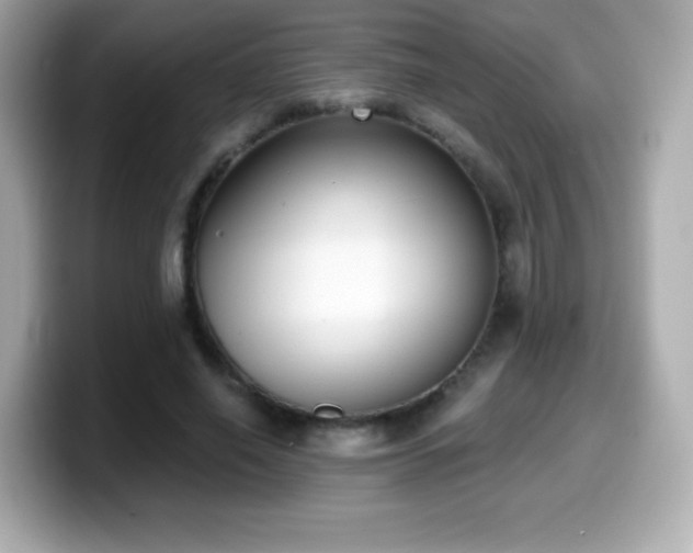 X0000099970638200805231406