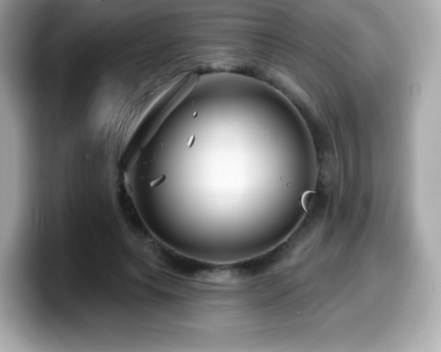 X0000099970639200805231406