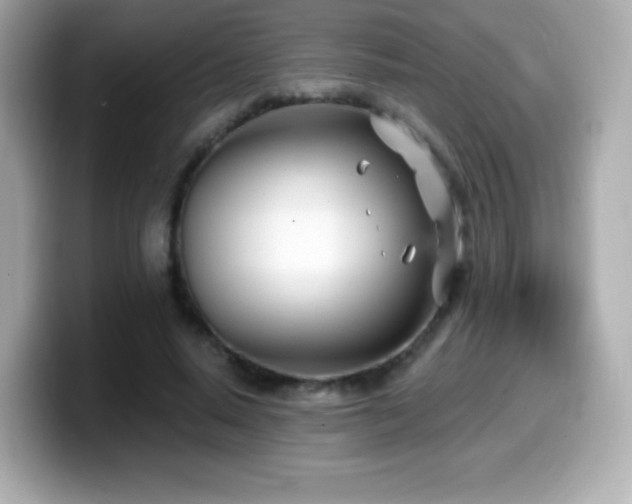 X0000099970640200805231406