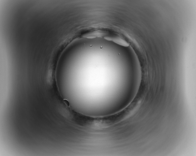 X0000099970641200805231406