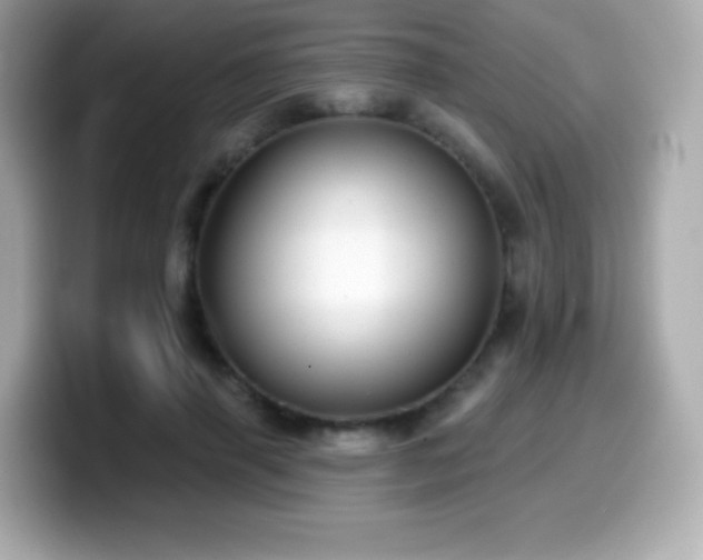 X0000099970645200805231406