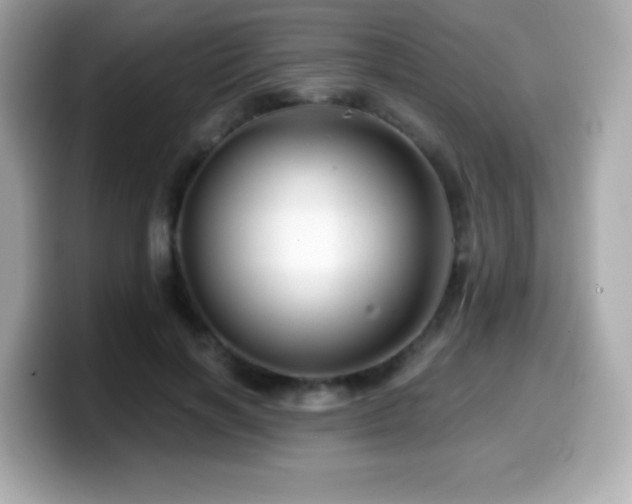 X0000099970646200805231406