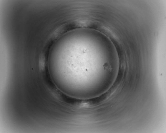 X0000099970647200805231406
