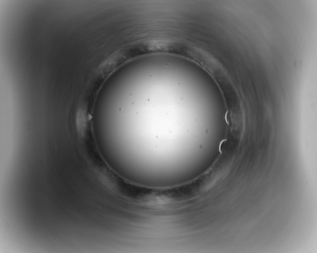X0000099970648200805231406