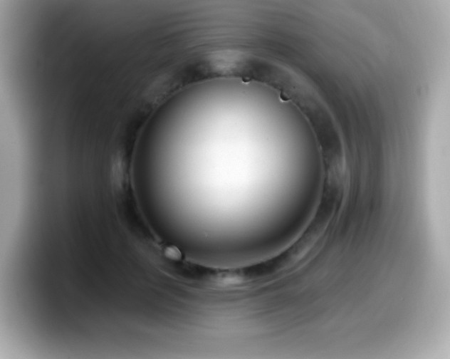 X0000099970651200805231406