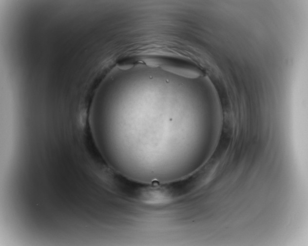 X0000099970652200805231406