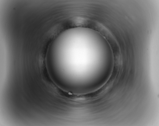 X0000099970653200805231406