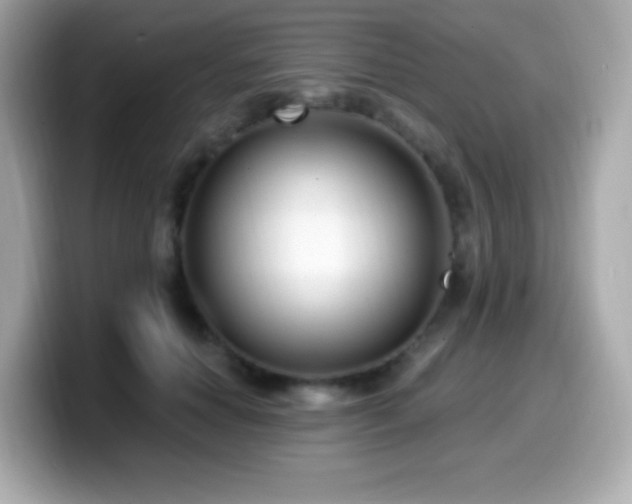 X0000099970654200805231406
