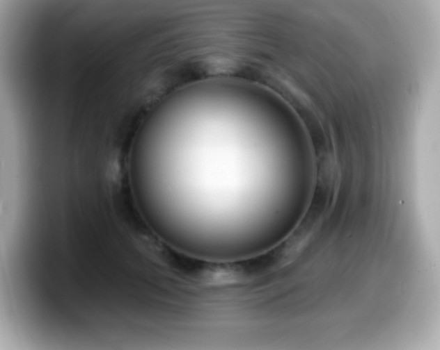 X0000099970655200805231406