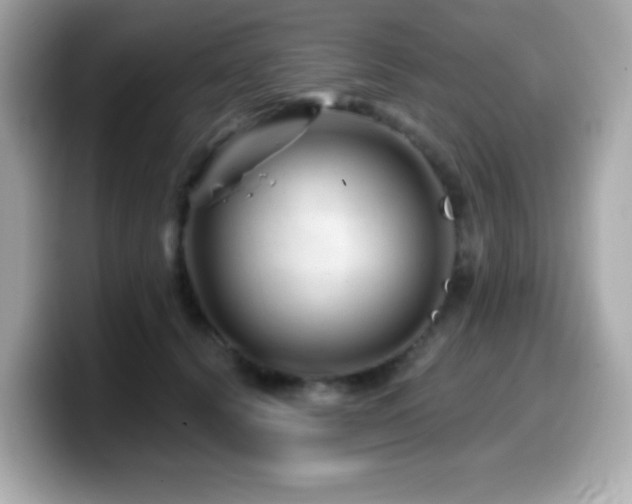 X0000099970656200805231406