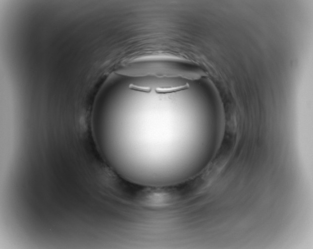 X0000099970658200805231406