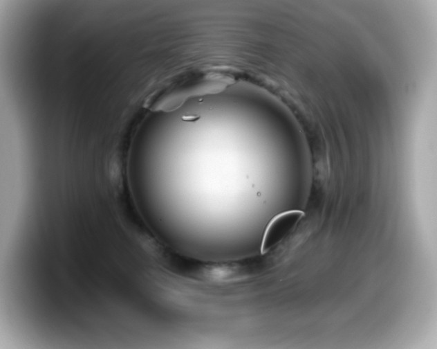 X0000099970662200805231406