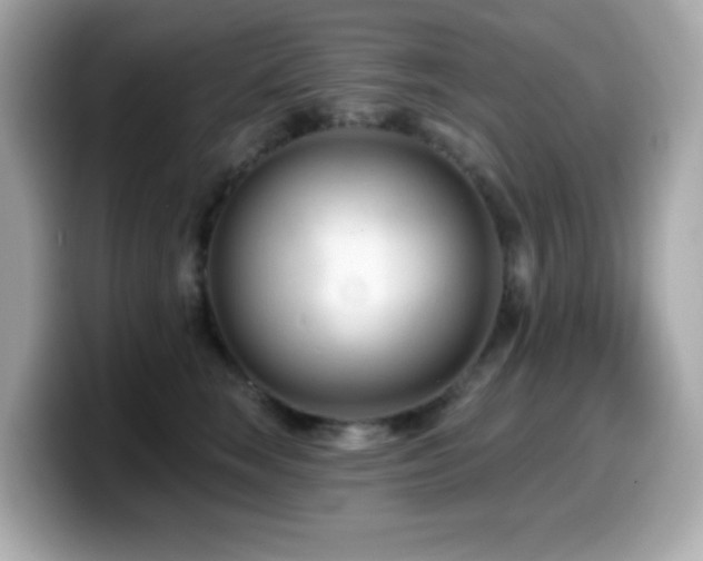 X0000099970663200805231406