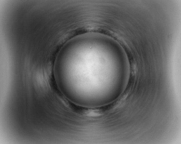 X0000099970664200805231406