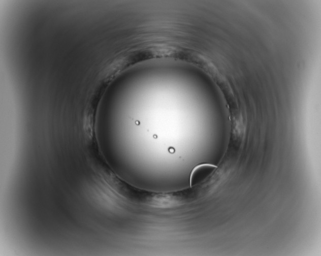 X0000099970666200805231406