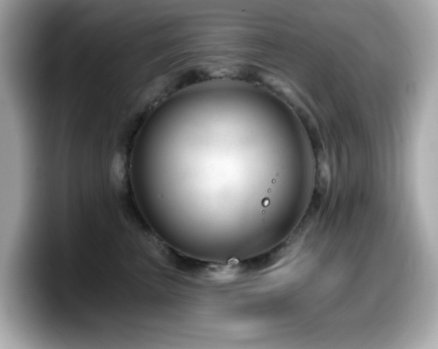 X0000099970667200805231406
