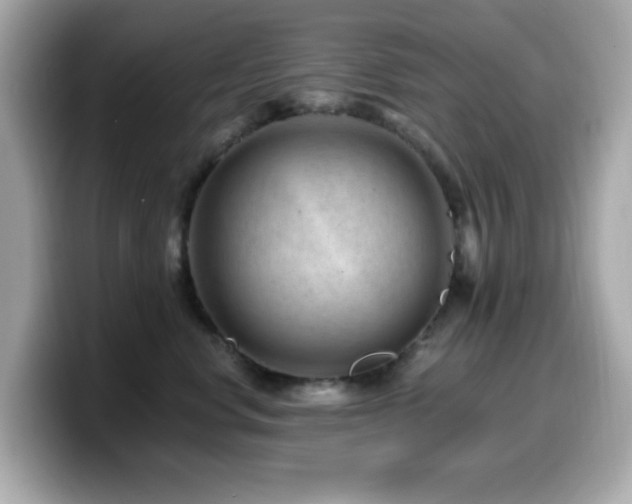 X0000099970668200805231406