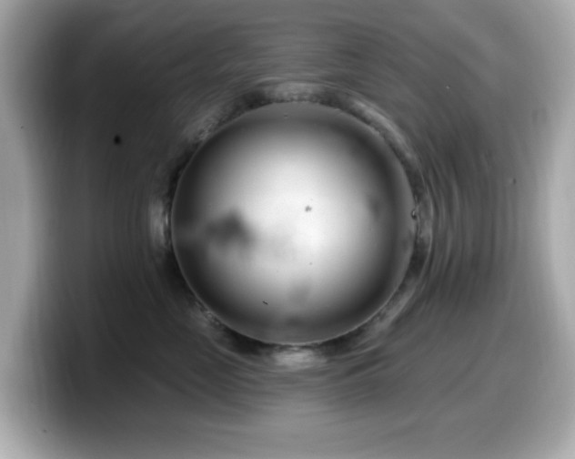 X0000099970669200805231406