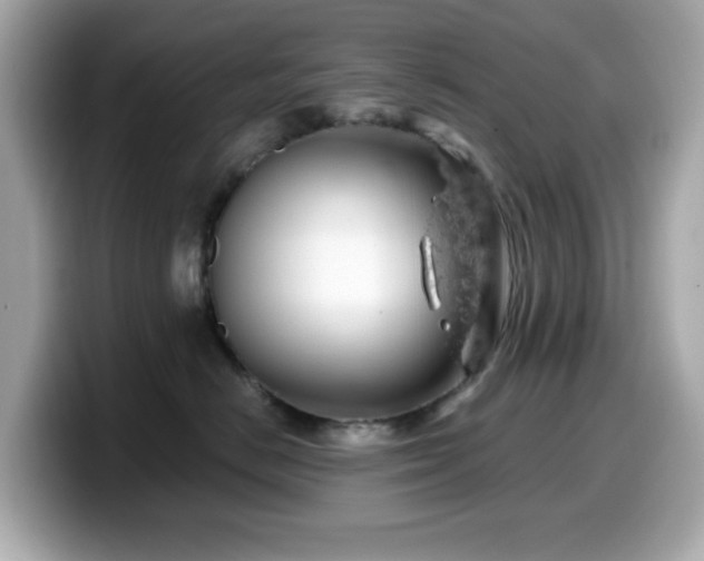 X0000099970670200805231406