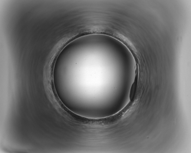 X0000099970673200805231405