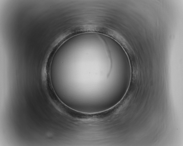 X0000099970674200805231405