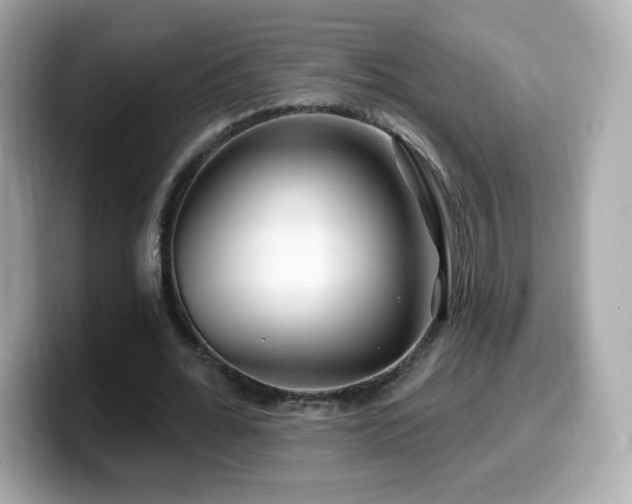 X0000099970676200805231405