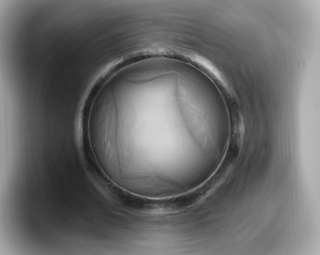 X0000099970678200805231405