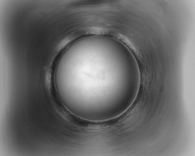 X0000099970679200805231405