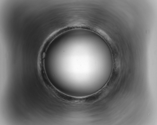 X0000099970680200805231405
