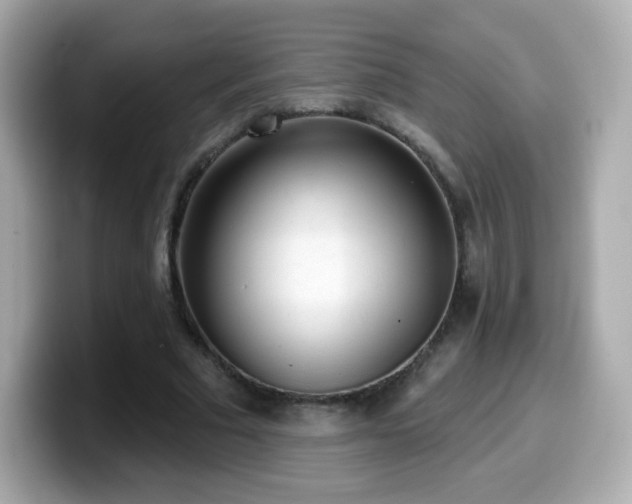 X0000099970681200805231405