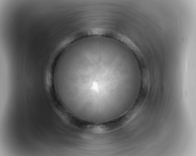 X0000099970683200805231405