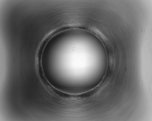 X0000099970684200805231405