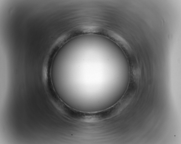 X0000099970686200805231405