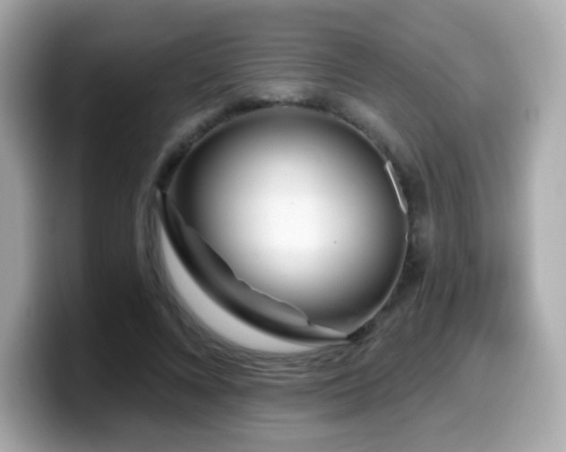 X0000099970688200805231405