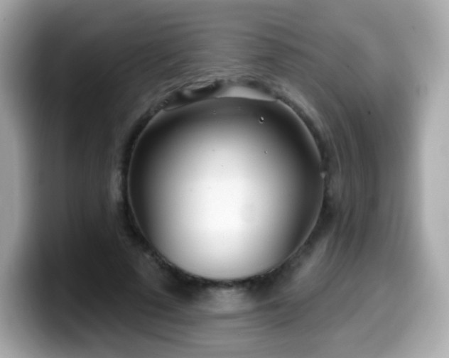 X0000099970689200805231405