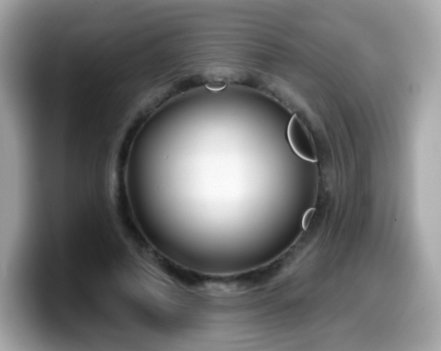 X0000099970690200805231405