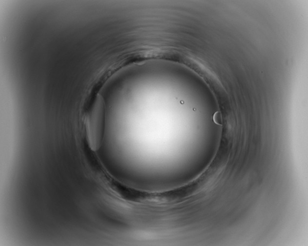 X0000099970691200805231405