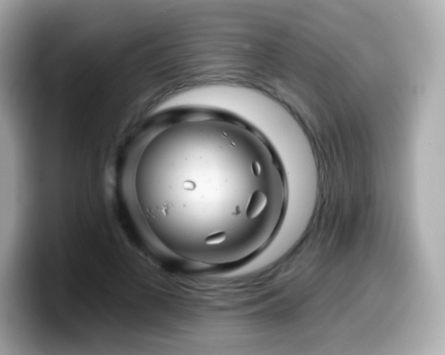 X0000099970693200805231405